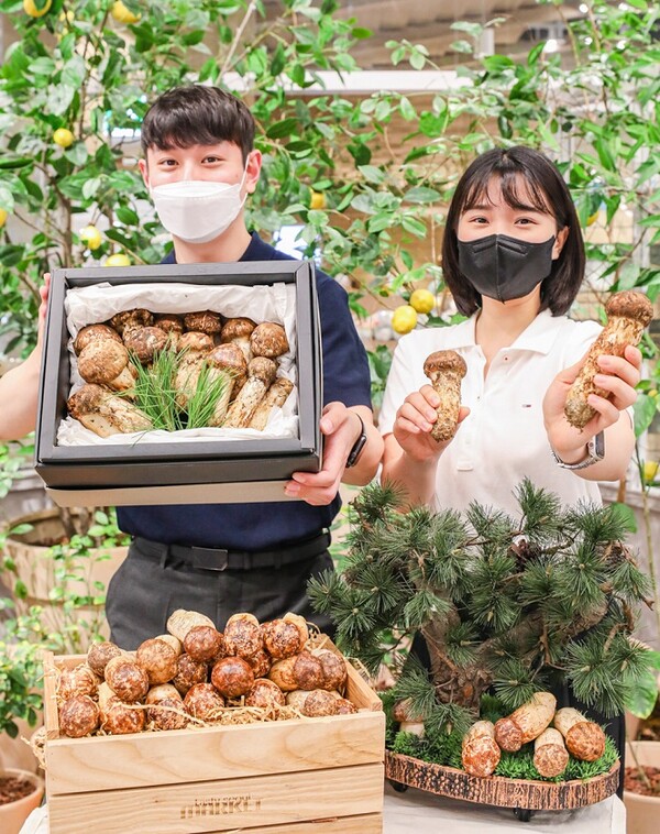 31일 오전 서울 영등포구에 위치한 현대백화점 더현대 서울 식품관에서 직원들이 올해 첫 수확한 자연산 송이를 소개하고 있다